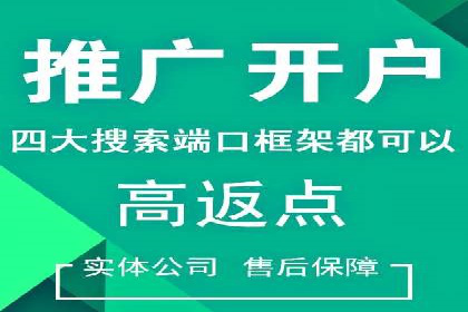 SEM运营公司经典案例点评